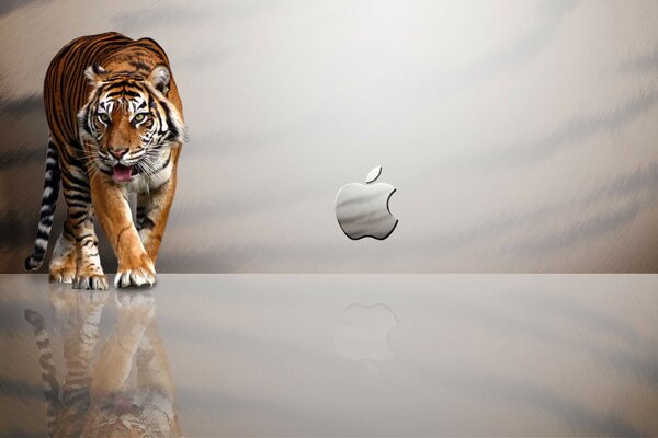 Tiger und Apple-Symbol auf Hintergrund