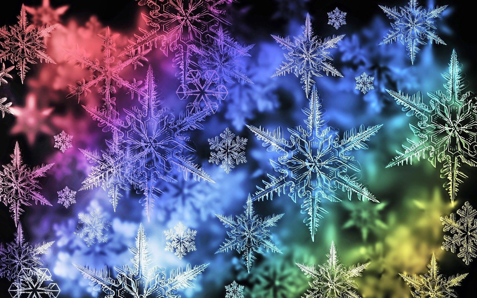 新年 圣诞节 霜冻 冬天 桌面 季节 装饰 自然 颜色 明亮 雪 雪花 花