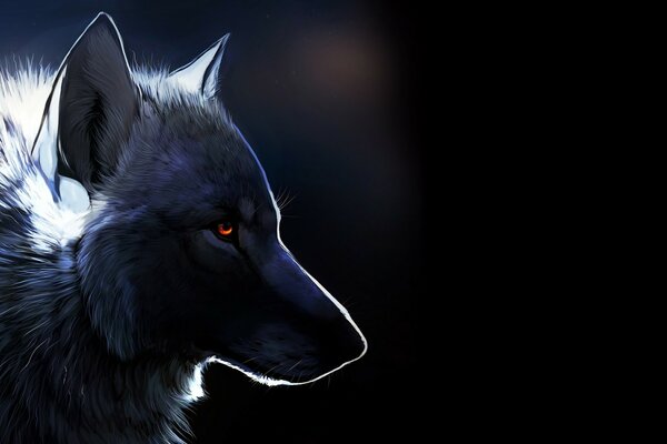 The muzzle of a black wolf with red eyes. Werewolf. Twilight Saga