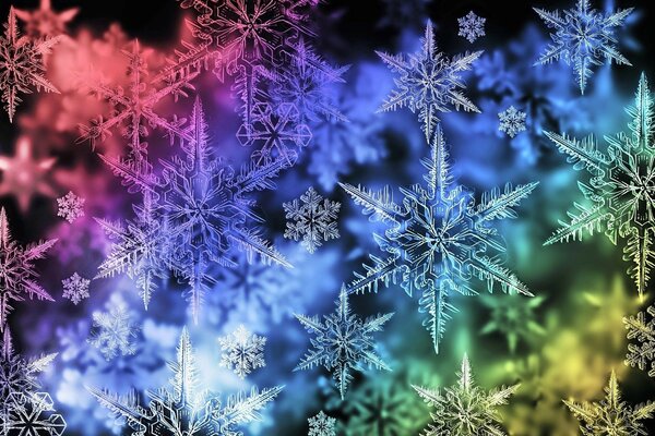 Beautiful snowflakes on a black background