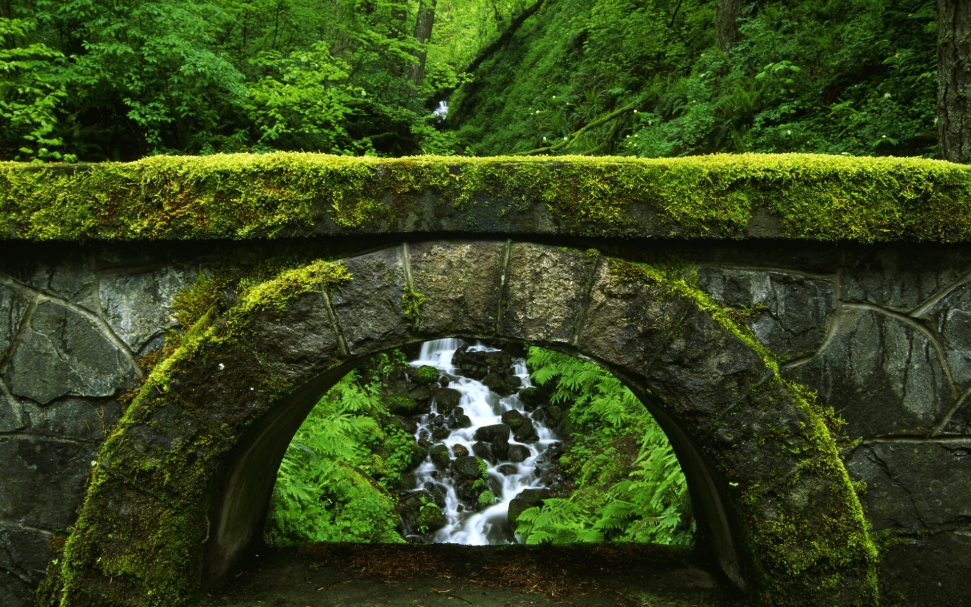 paysage eau voyage paysage mousse feuille scénique pierre environnement nature bois rivière à l extérieur bois parc lumière du jour fond herbe pont