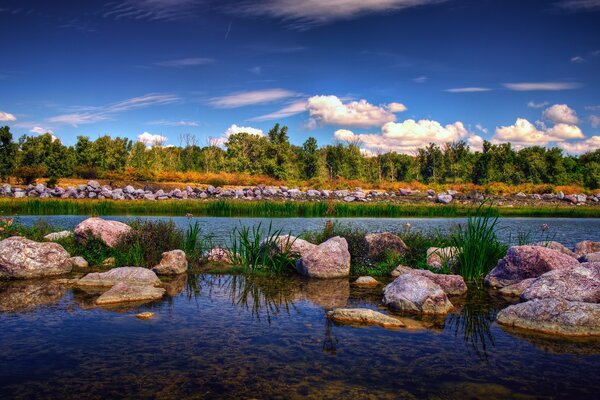 Красивый водный пейзаж и камни