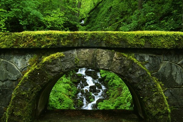 Beautiful landscapes by the water on a journey