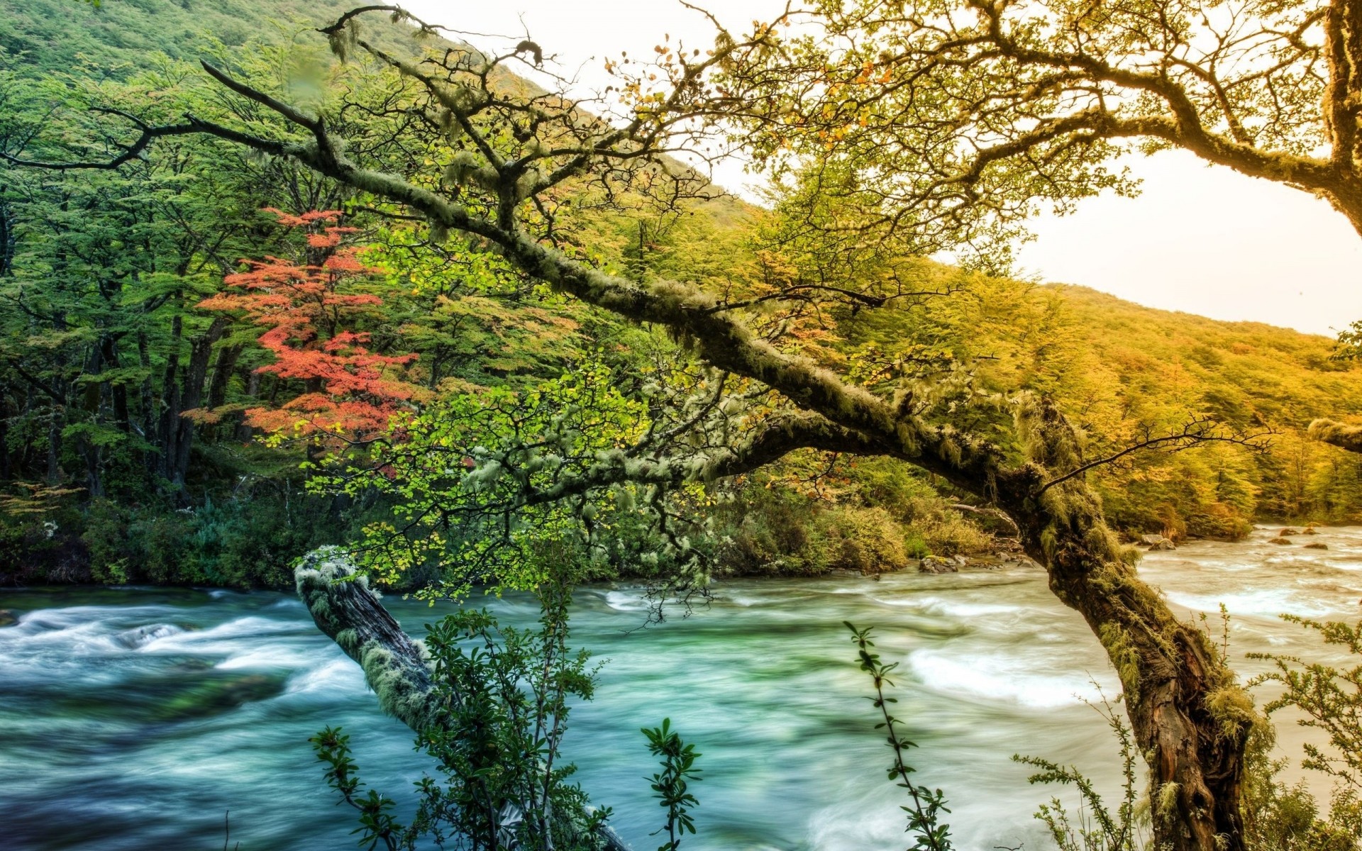 raum natur wasser landschaft holz holz herbst fluss blatt landschaftlich im freien landschaft fluss saison reisen umwelt park see sommer berge rvb poster rvb hintergrund hdr landschaft modus hdr foto hallo res rvb