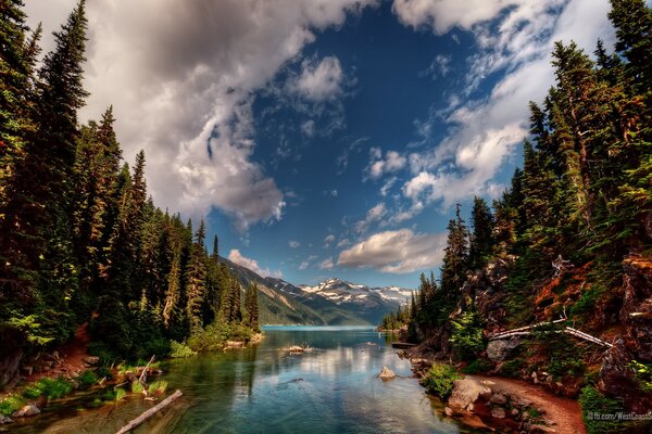 Paisaje de bosque, montaña y cuerpo de agua