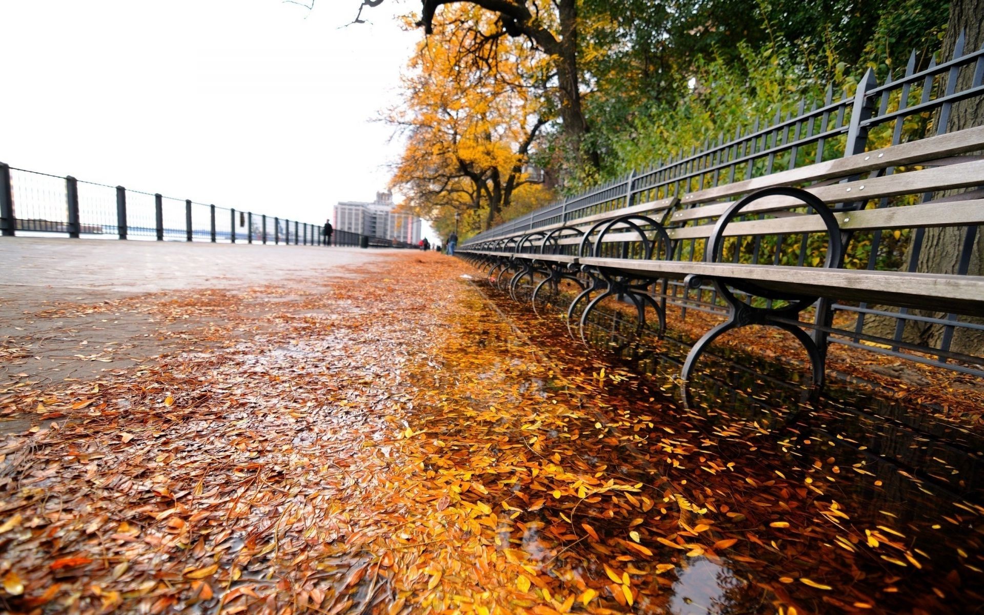 осень осень природа древесины сезон дорога лист дерево руководство парк мост пейзаж на открытом воздухе воды цвет среды путешествия свет живописный