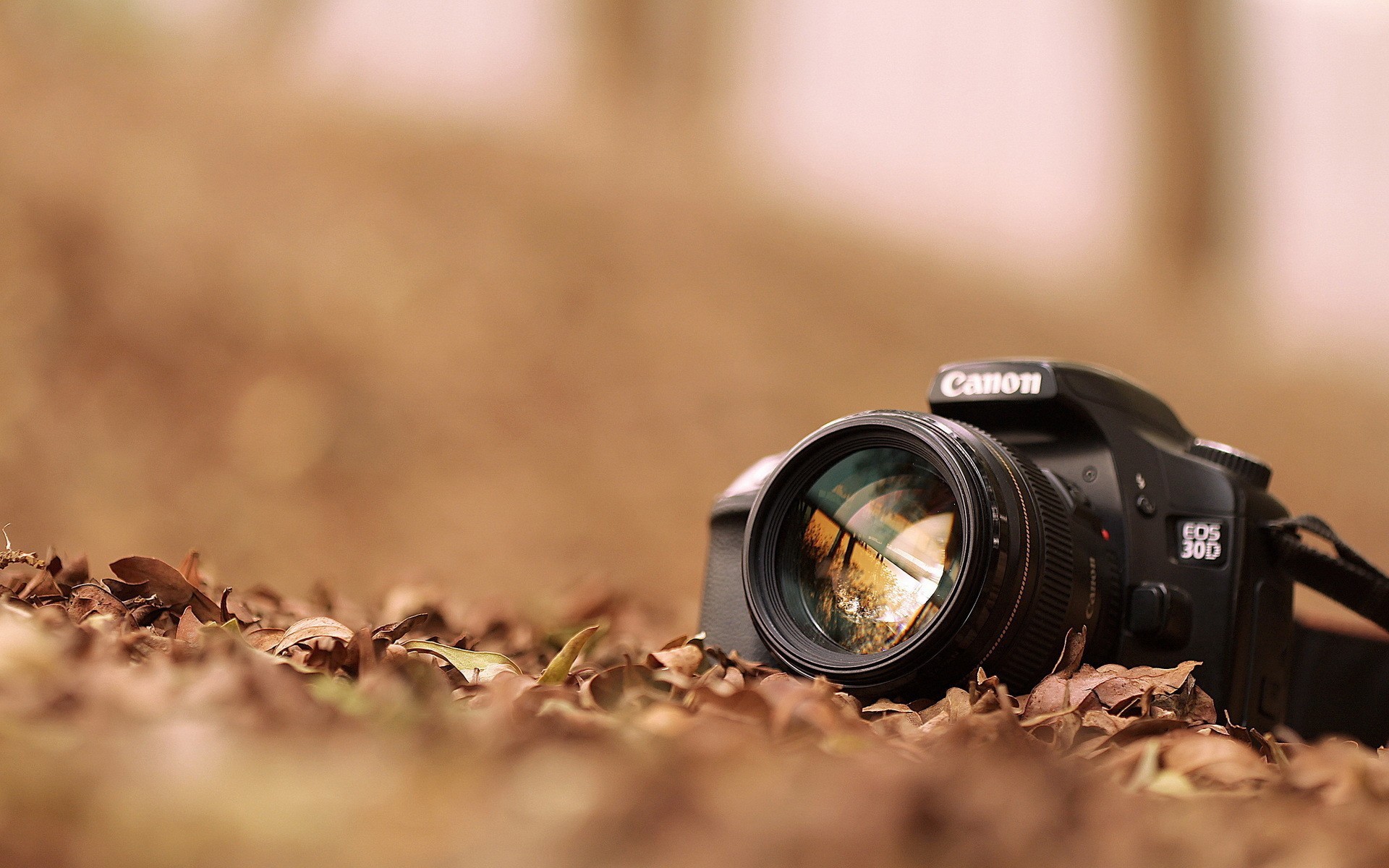 dijital teknoloji ve yazılım objektif bulanıklık odak zoom açık havada doğa gün batımı güzel hava diyafram toprak kamera fotoğraf profesyonel canon