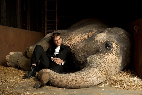 驯象师。 大象和男人睡觉