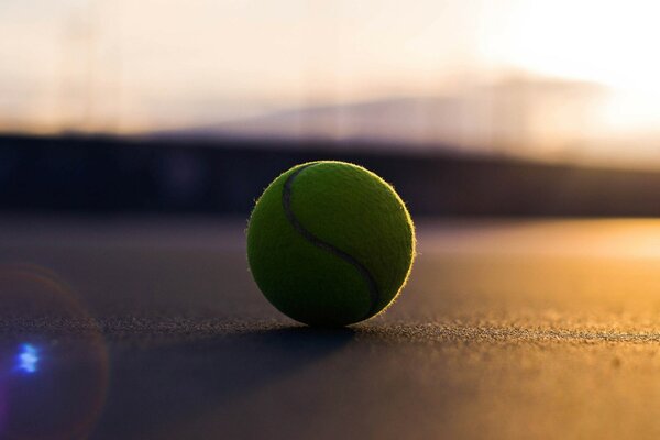 Balle de tennis jaune couché sur la surface du court