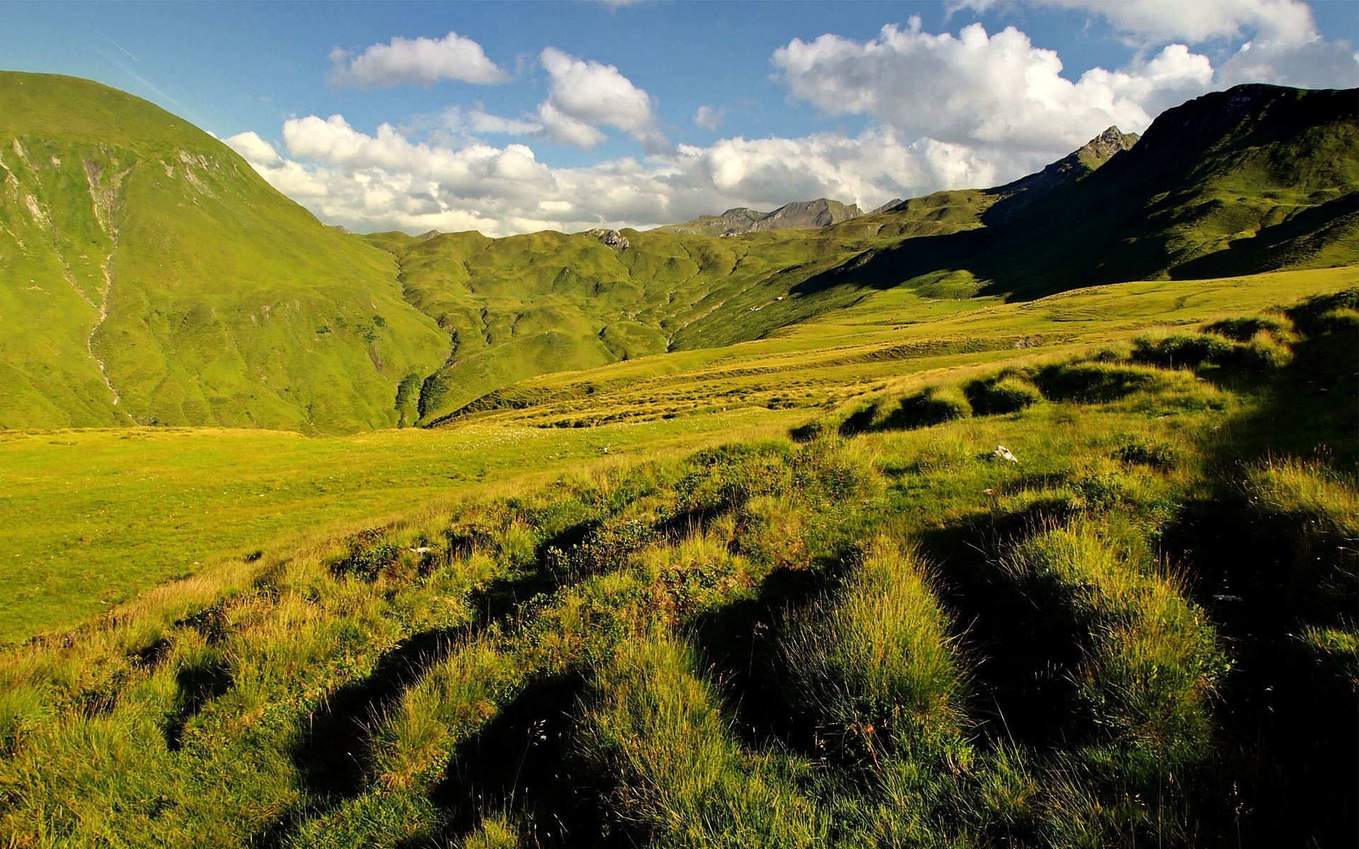 paysage paysage la nature voyage à l extérieur herbe colline ciel montagnes terres cultivées campagne vallée été scénique agriculture rural champ pâturage herbe verte colline verte photos collines photo