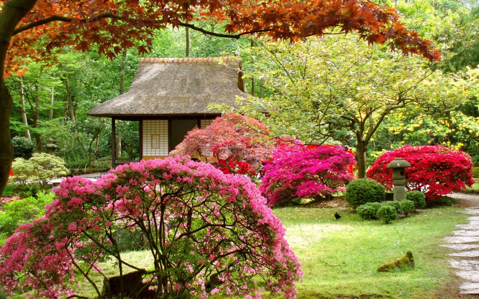 landschaft garten blume baum blatt park natur flora saison holz landschaft farbe hof rasen im freien sommer herbst botanisch strauch haus bäume hintergrund