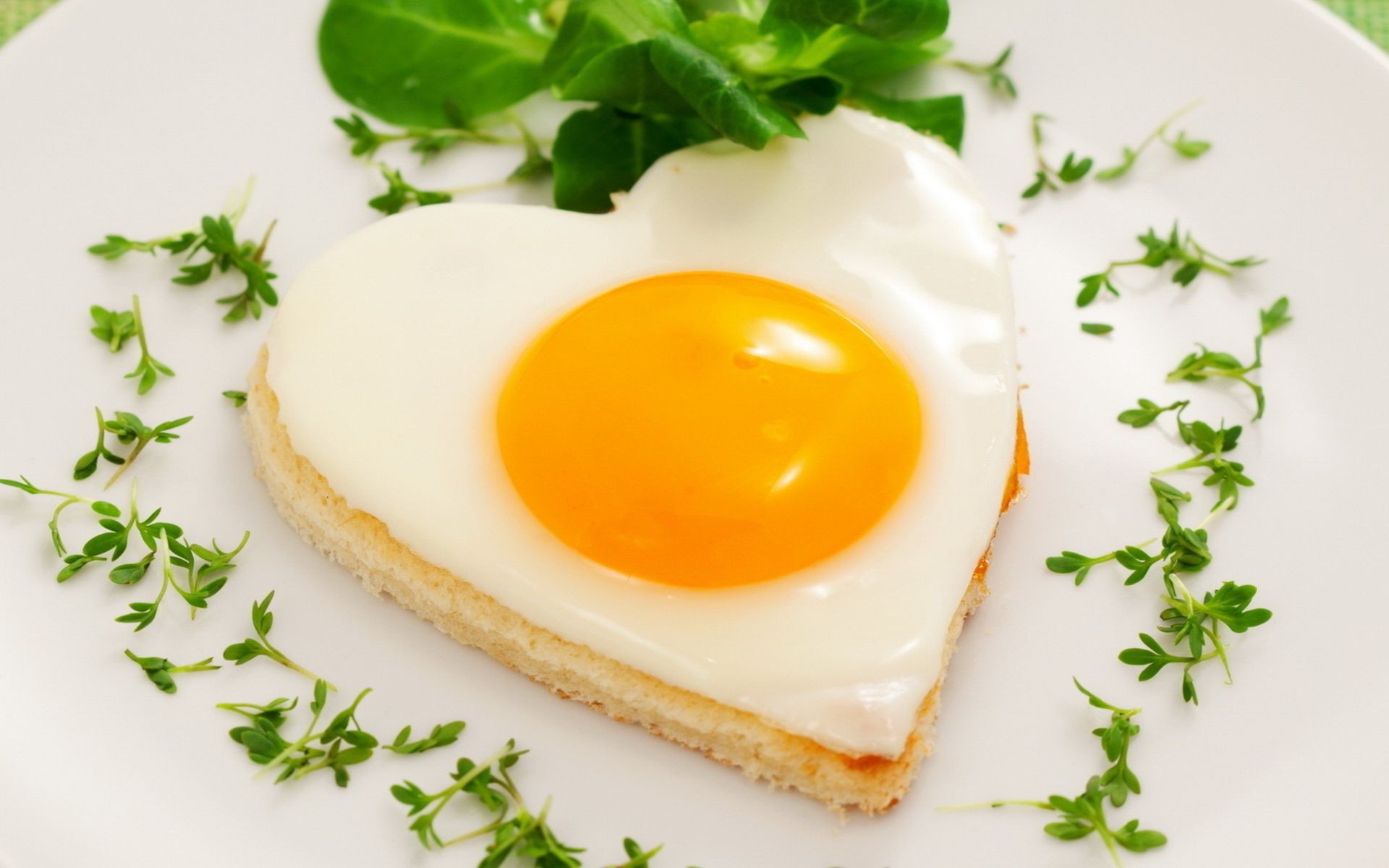 petit déjeuner oeuf jaune d oeuf alimentaire alimentaire délicieux toast aube pain cuisine déjeuner feuille alimentaire produits laitiers beurre en bonne santé le cholestérol la santé