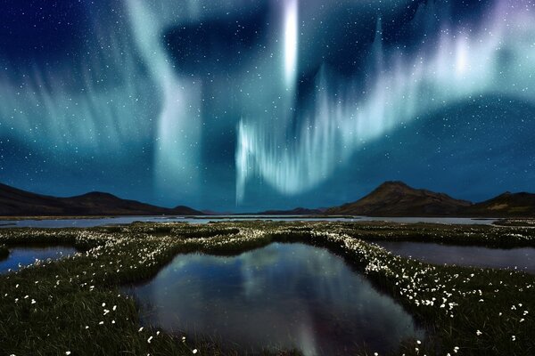 Bellissimo campo con vista sull aurora boreale