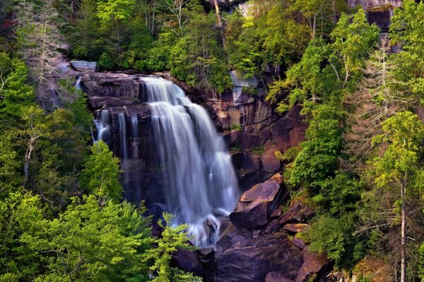 Belle cascade qui coule des montagnes