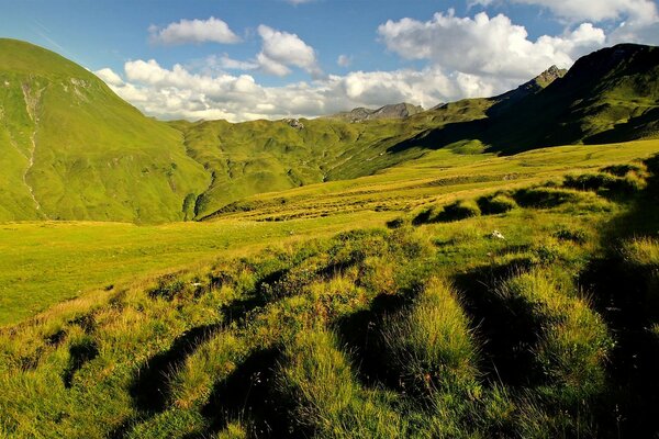 Mountain valley, fragrant in greenery