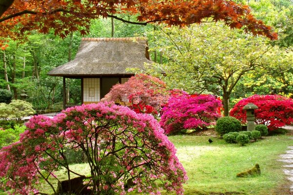 Jardim japonês com casa