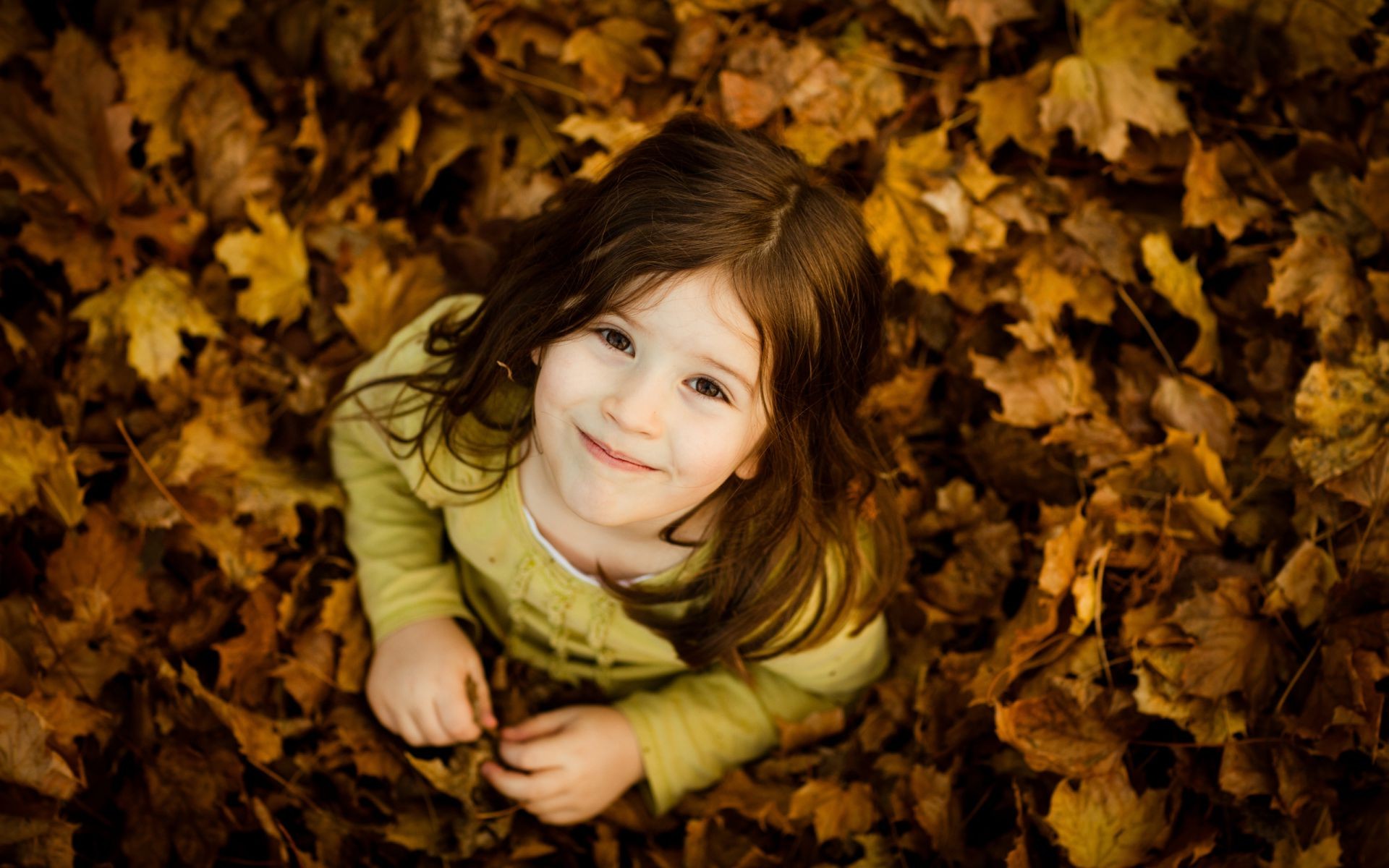 enfants qui rient automne nature fille feuille bois érable parc belle portrait unique visage arbre lumière mode à l extérieur modèle mignon sourire