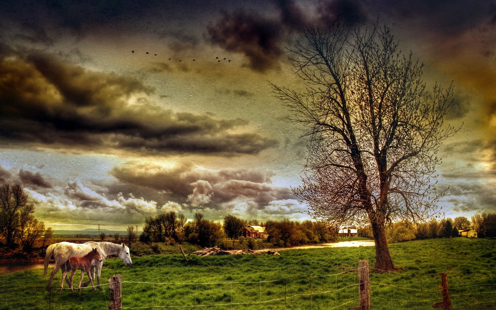 paesaggio paesaggio erba tramonto alba natura albero rurale campagna all aperto cielo pastorale autunno sole fattoria campo sera bel tempo agricoltura fieno cavalli modalità hdr paesaggio paesaggio in hdr