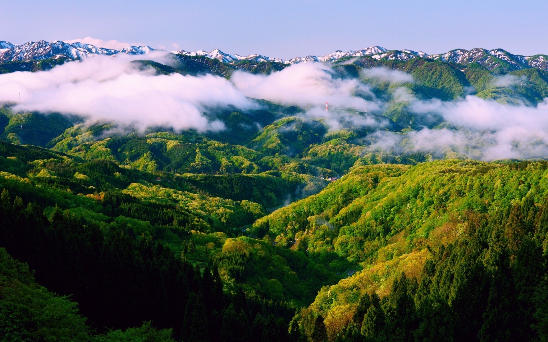 landschaft natur landschaft reisen im freien himmel holz berg nebel baum herbst blatt dämmerung gras sommer des ländlichen nebel gutes wetter landschaft waldgrün wolken bewölkte landschaft waldlandschaft