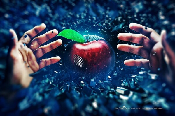 Abstraction of a wet apple