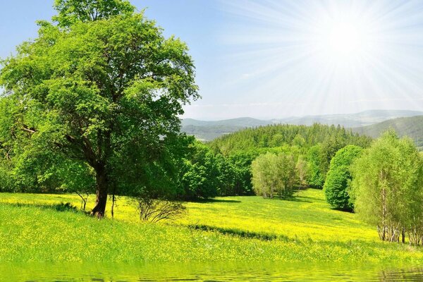 Colagem verde de fontes de paisagem