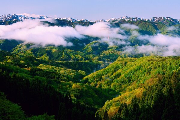 Nuages blancs sur les montagnes vertes