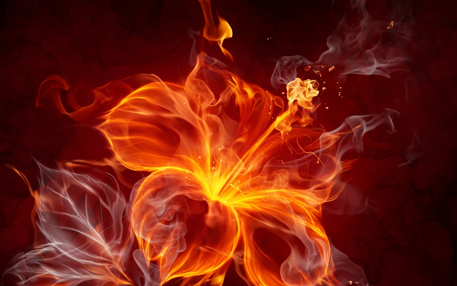 огненные пламя горячая тепло дым энергии блейз легковоспламеняющиеся опасность топлива камин сожгли костер аннотация взрыв тепло зажечь сжечь инферно пожар костра огонь искусства цветочная фантазия огненный цветок