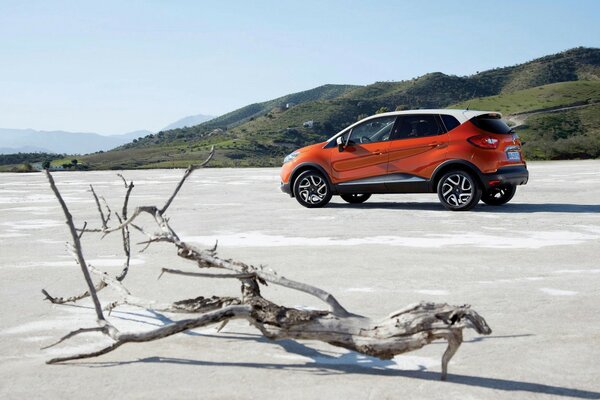 Car by the water for photography