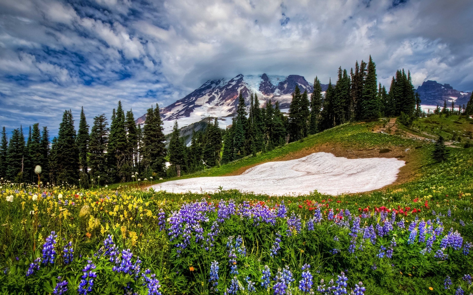 spring nature mountain outdoors landscape wood scenic lupine hayfield flower travel summer tree daylight snow grass hill sky spring view spring pics spring photo