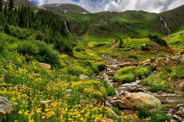 Natürliche grüne Ecke des Parks