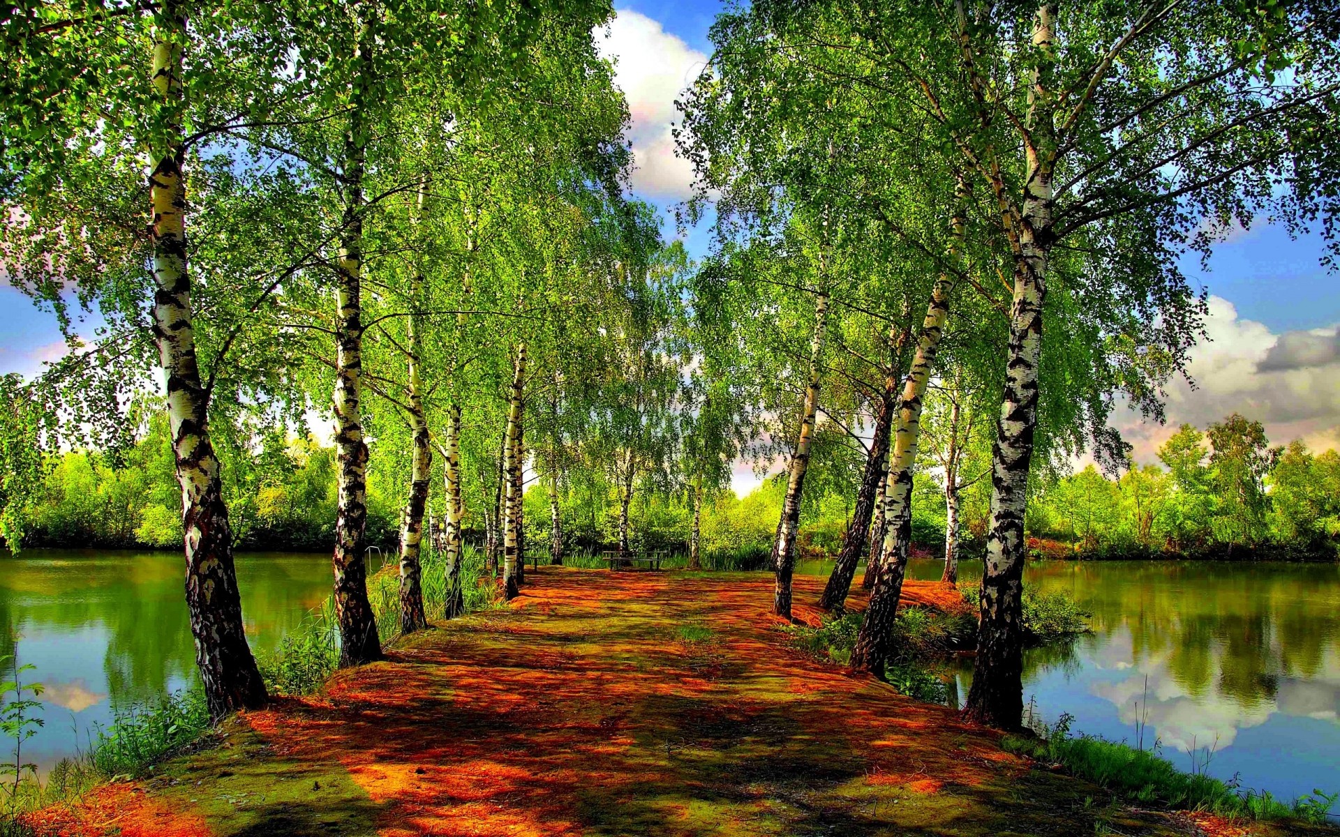 landschaft natur blatt holz landschaft holz gutes wetter sommer sonne park wasser üppig see hell schwimmbad des ländlichen umwelt dämmerung gelassenheit landschaft bäume wald