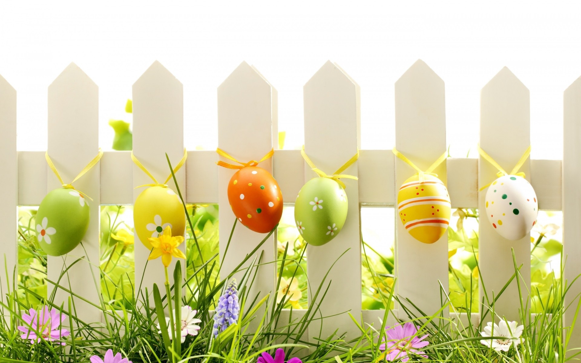 pasqua erba vacanza uovo religione coniglio fiore stagione decorazione natura candela luminoso uovo di pasqua colore coniglietto uova di pasqua