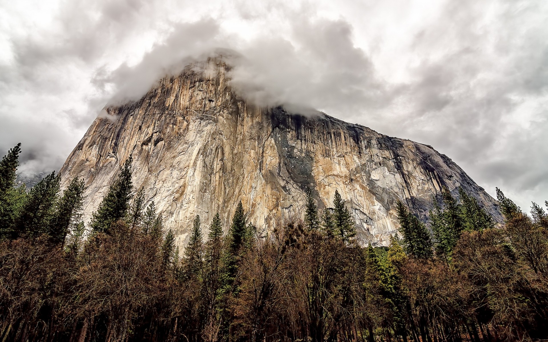 united states mountain nature sky landscape travel outdoors wood fog tree mist sunset snow dawn mountains forest