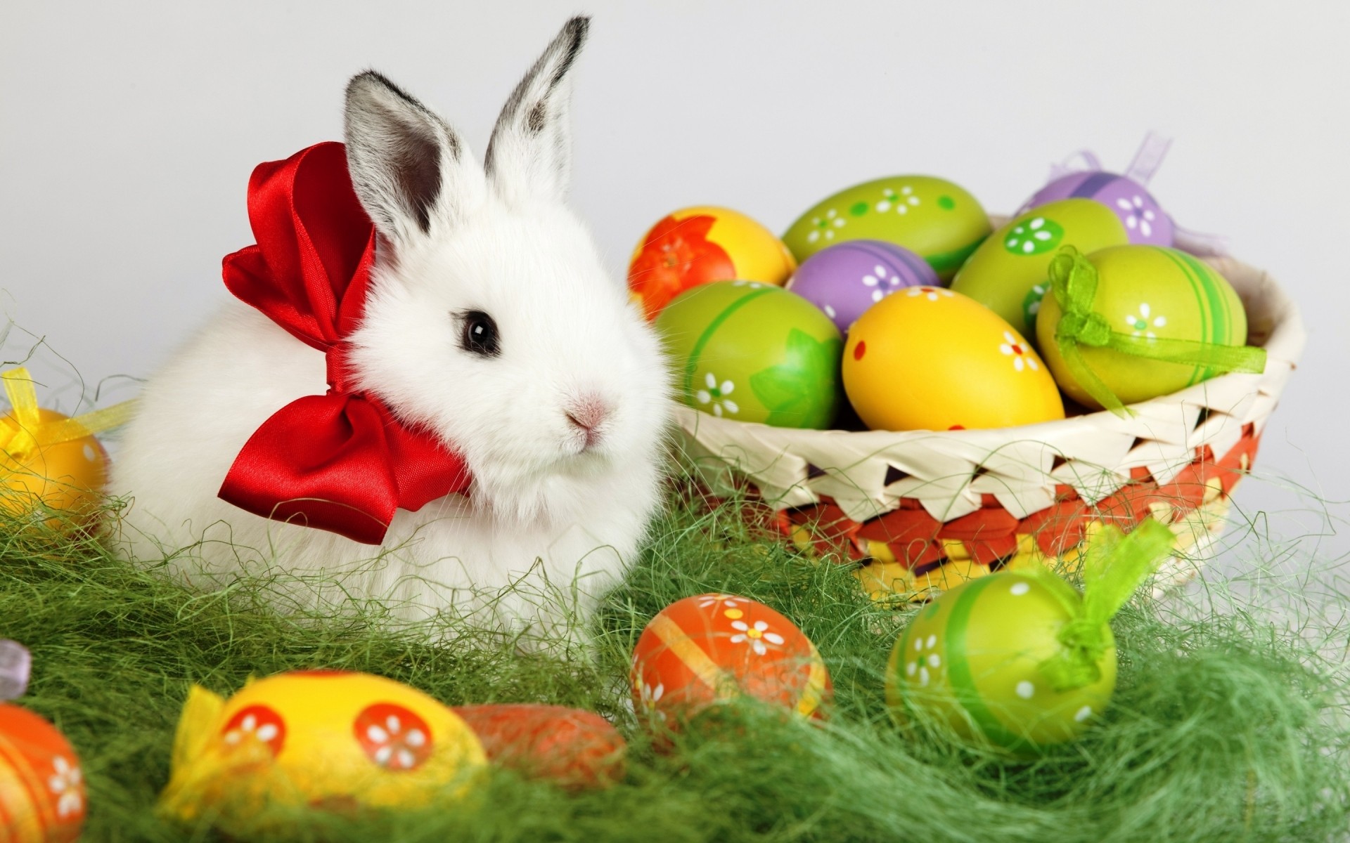 pascua huevo conejo conejito huevo de pascua vacaciones nido decoración cesta comida pastelería escritorio huevos de pascua conejo de pascua conejo blanco cartel de pascua