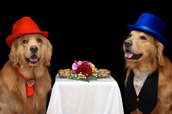 Dos perros con sombreros en una mesa festiva