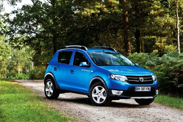 Une voiture étrangère de couleur bleue se trouve dans la forêt