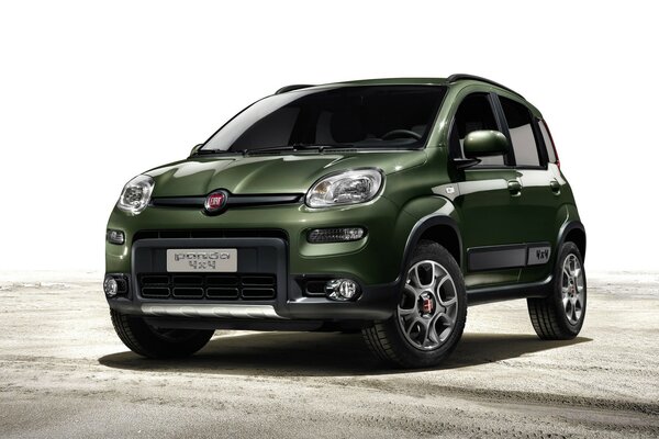 Fiat verde solitario