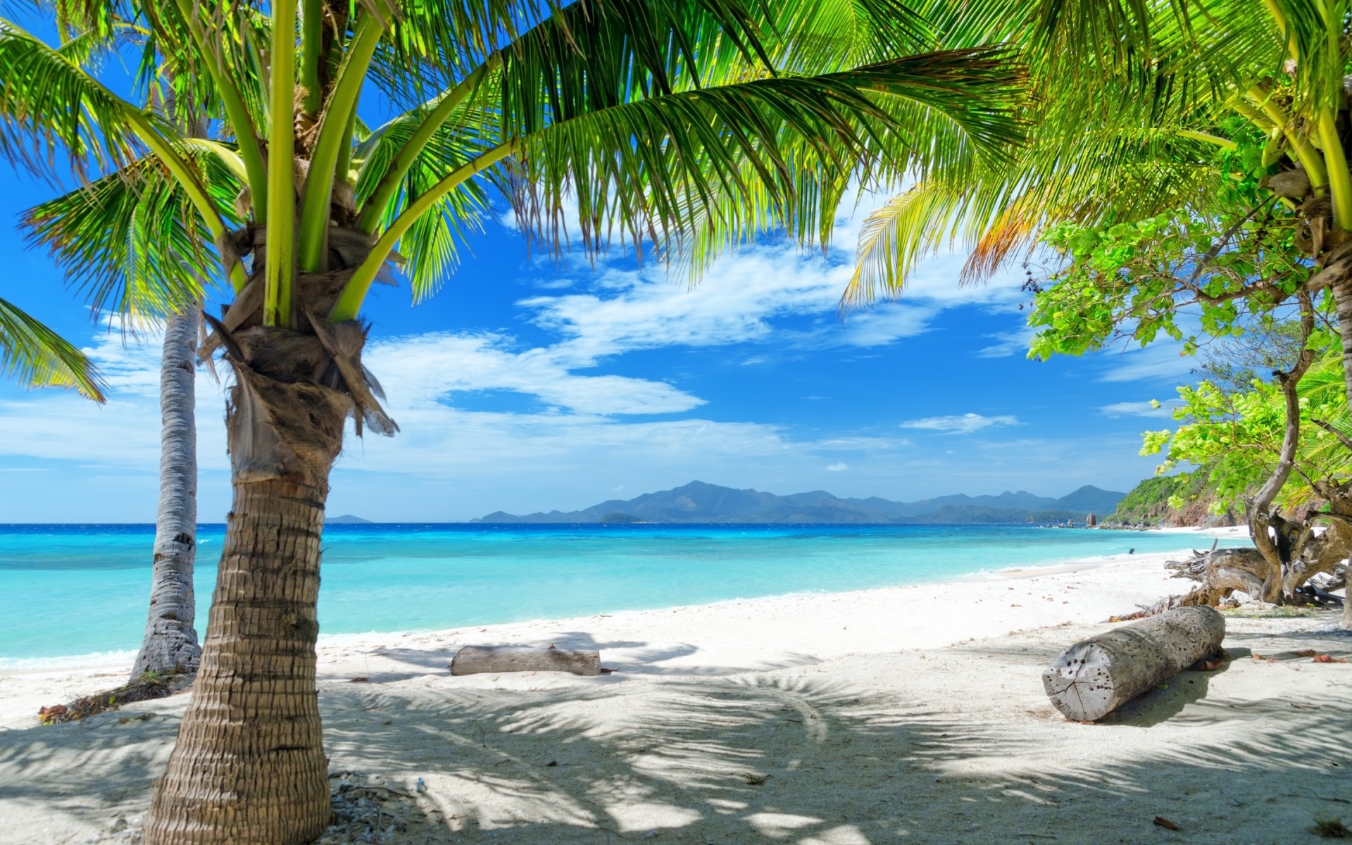 пейзажи тропический пляж ладони путешествия моря песок остров океан воды бирюза лето экзотические отпуск рай релаксация идиллия курорт кокосовое пейзаж лагуна пейзаж голубое небо