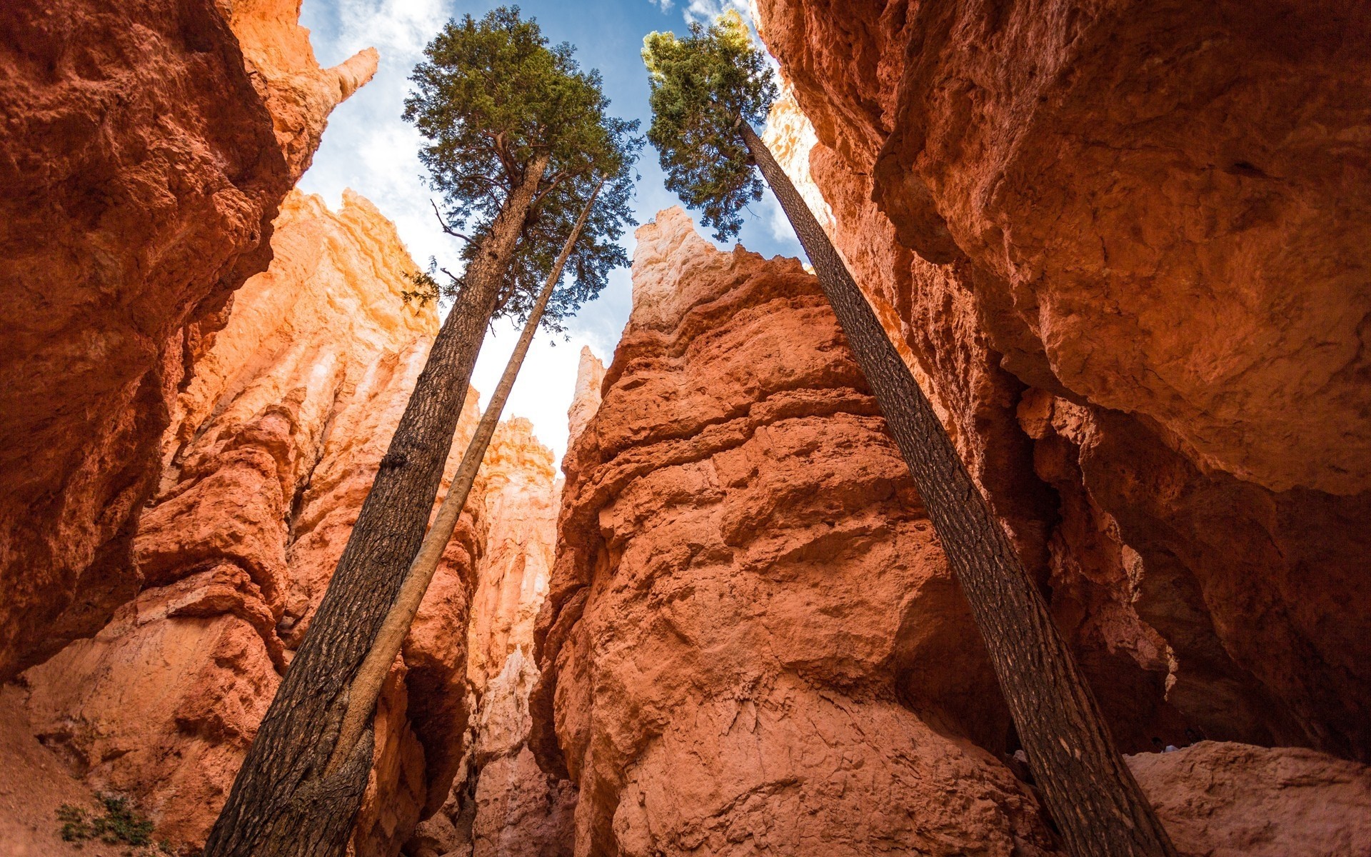 stany zjednoczone kanion piaskowiec skała podróże na zewnątrz geologia malowniczy park pustynia światło dzienne krajobraz dolina przygoda