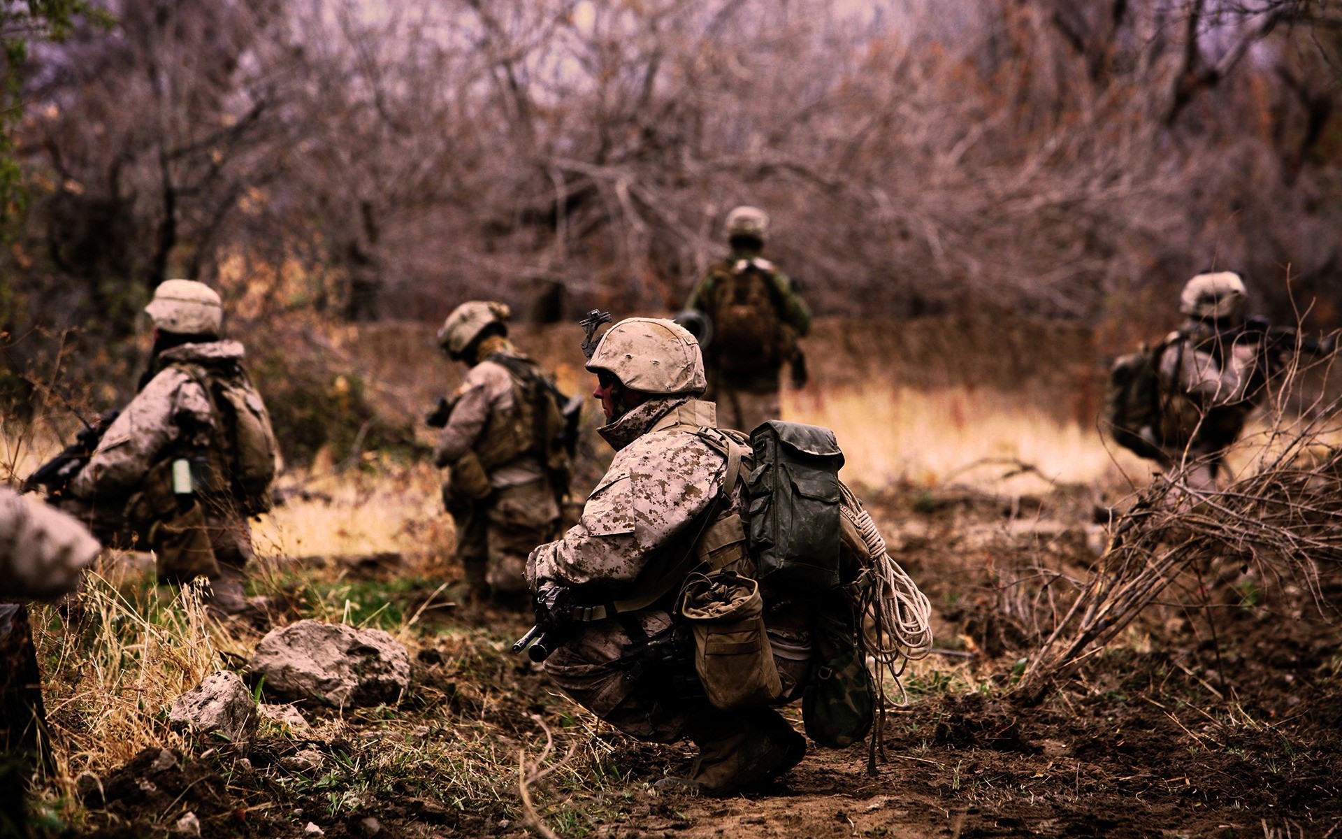 солдат армия военные войны боевой оружие пистолет битва винтовка боеприпасы камуфляж дерево древесины взрослый охотник человек солдаты