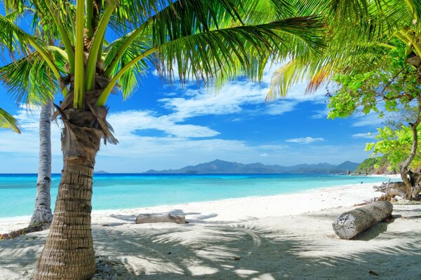 Tropical beach with blue water