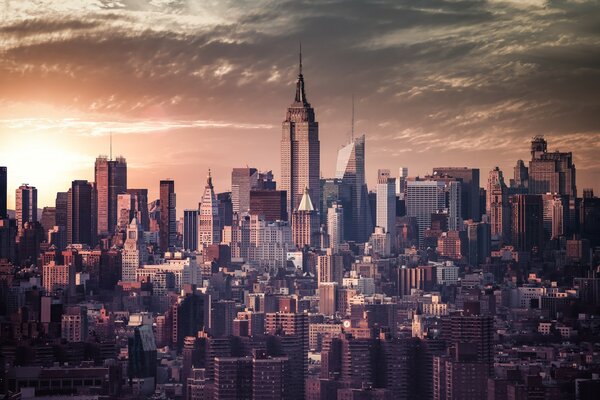 Skyscrapers of the American city in gray tones