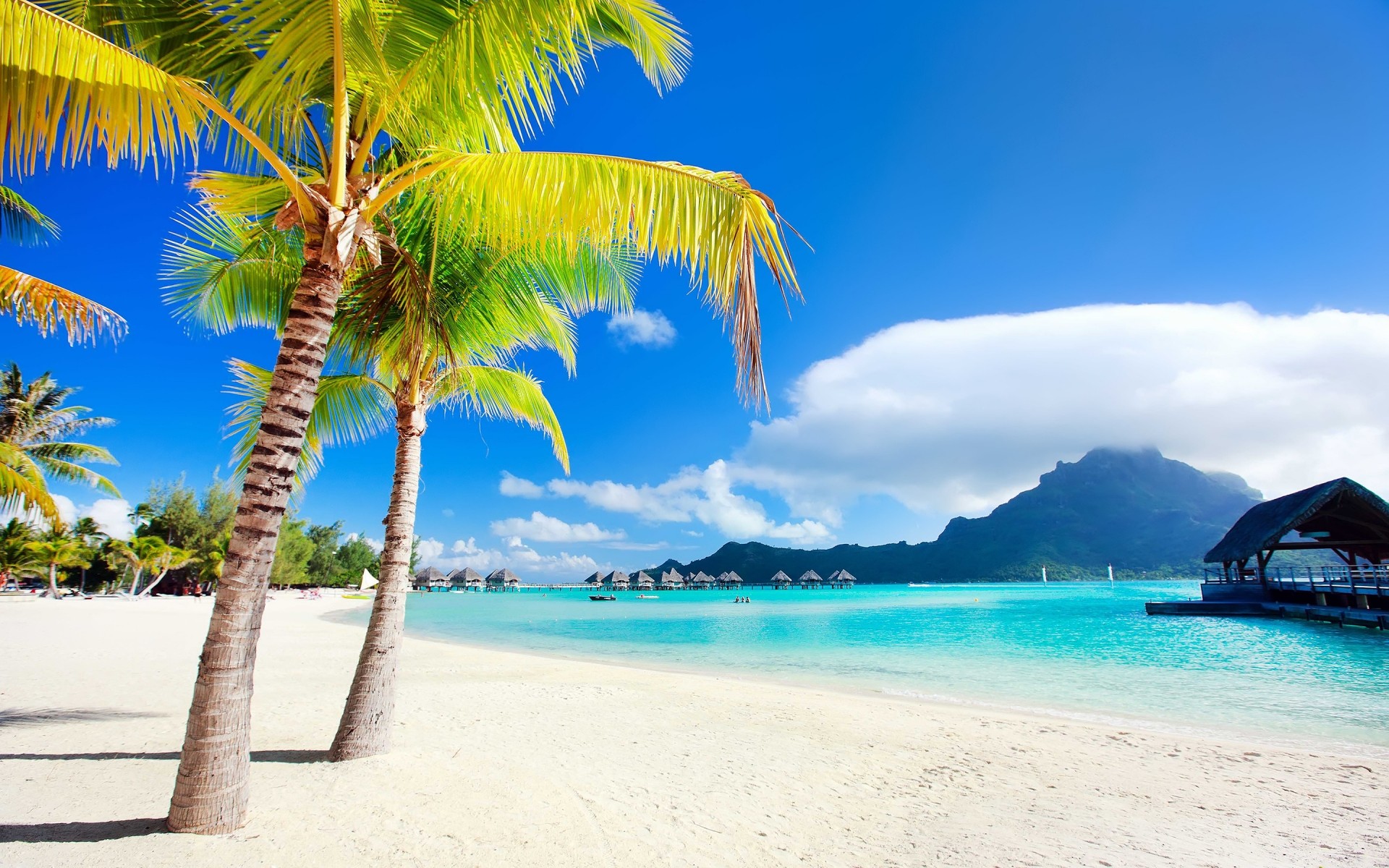 summer beach tropical sand seashore travel palm vacation ocean paradise island relaxation exotic resort idyllic water sun turquoise seascape bora bora palmier