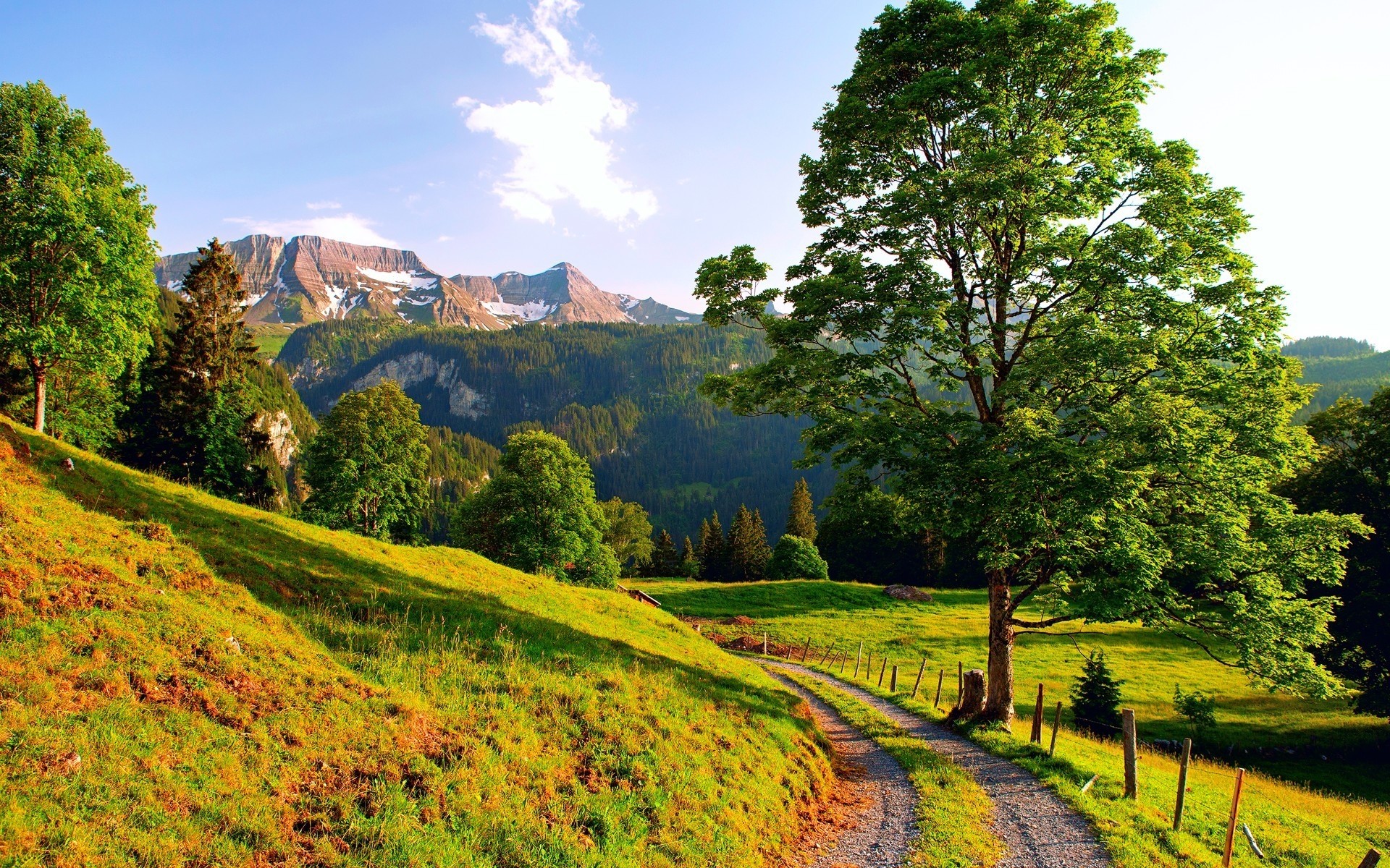 paisaje naturaleza paisaje árbol madera rural campo al aire libre hoja verano escénico otoño hierba viajes cielo temporada buen tiempo paisaje espectáculo medio ambiente montañas árboles bosque