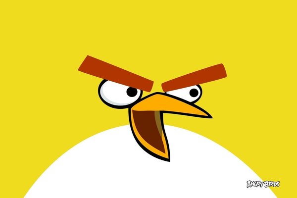 Vector illustration of angry birds