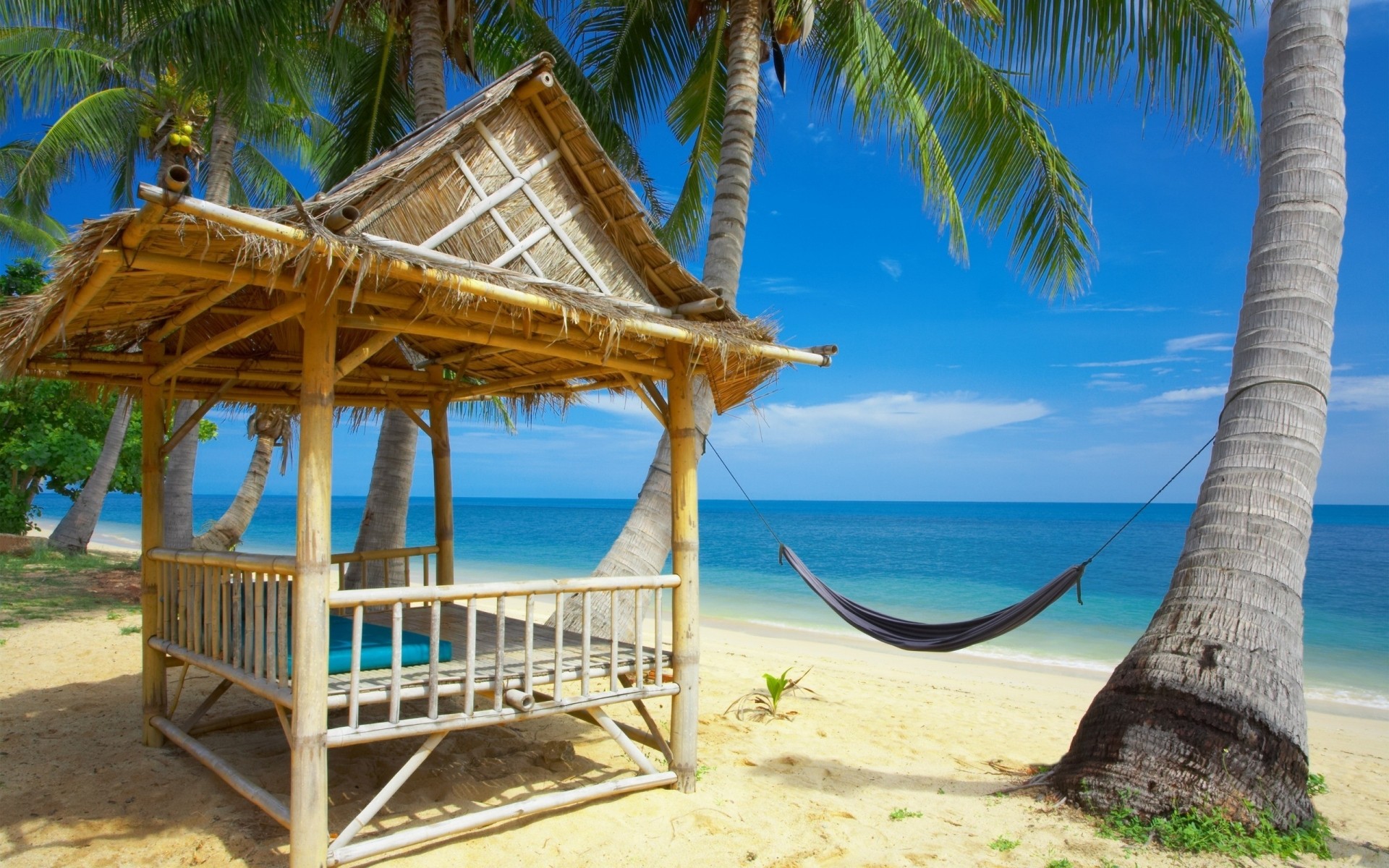 summer tropical palm resort beach vacation sand relaxation travel ocean island turquoise seashore exotic paradise idyllic chair sun coconut water blue sky sea