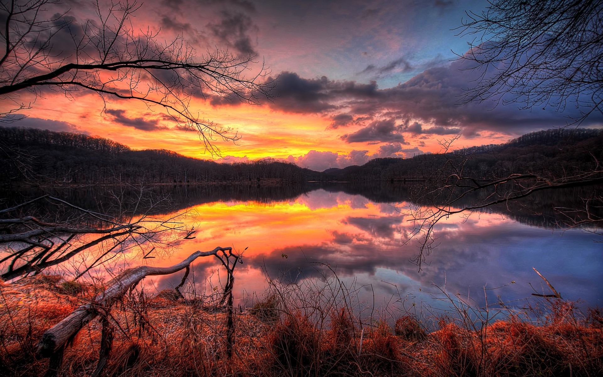 paesaggio tramonto alba paesaggio autunno albero sera natura riflessione crepuscolo cielo luce nebbia lago legno meteo inverno silhouette acqua sole foresta alberi sfondo