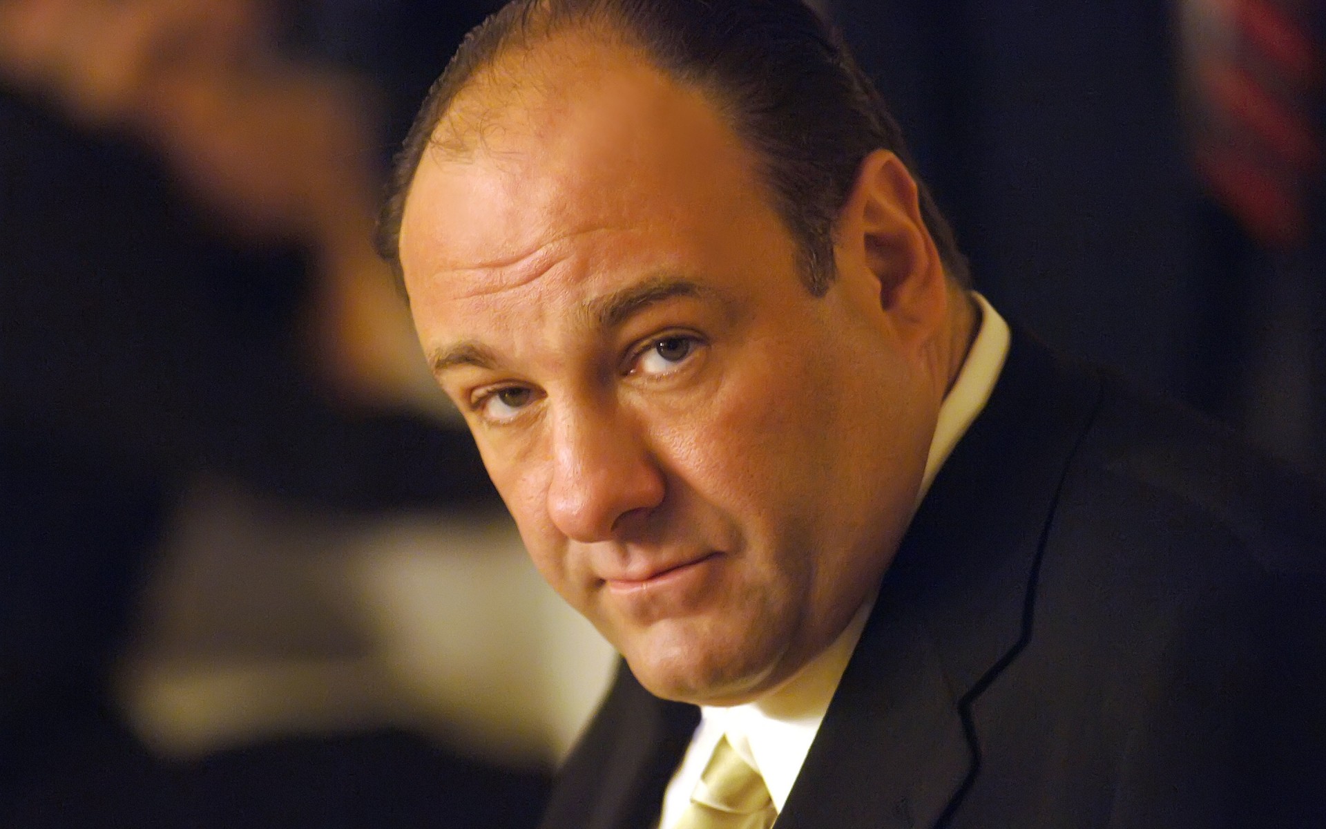 uomini affari ritratto leader uomo uno politico vestito adulto indossare amministrazione james gandolfini