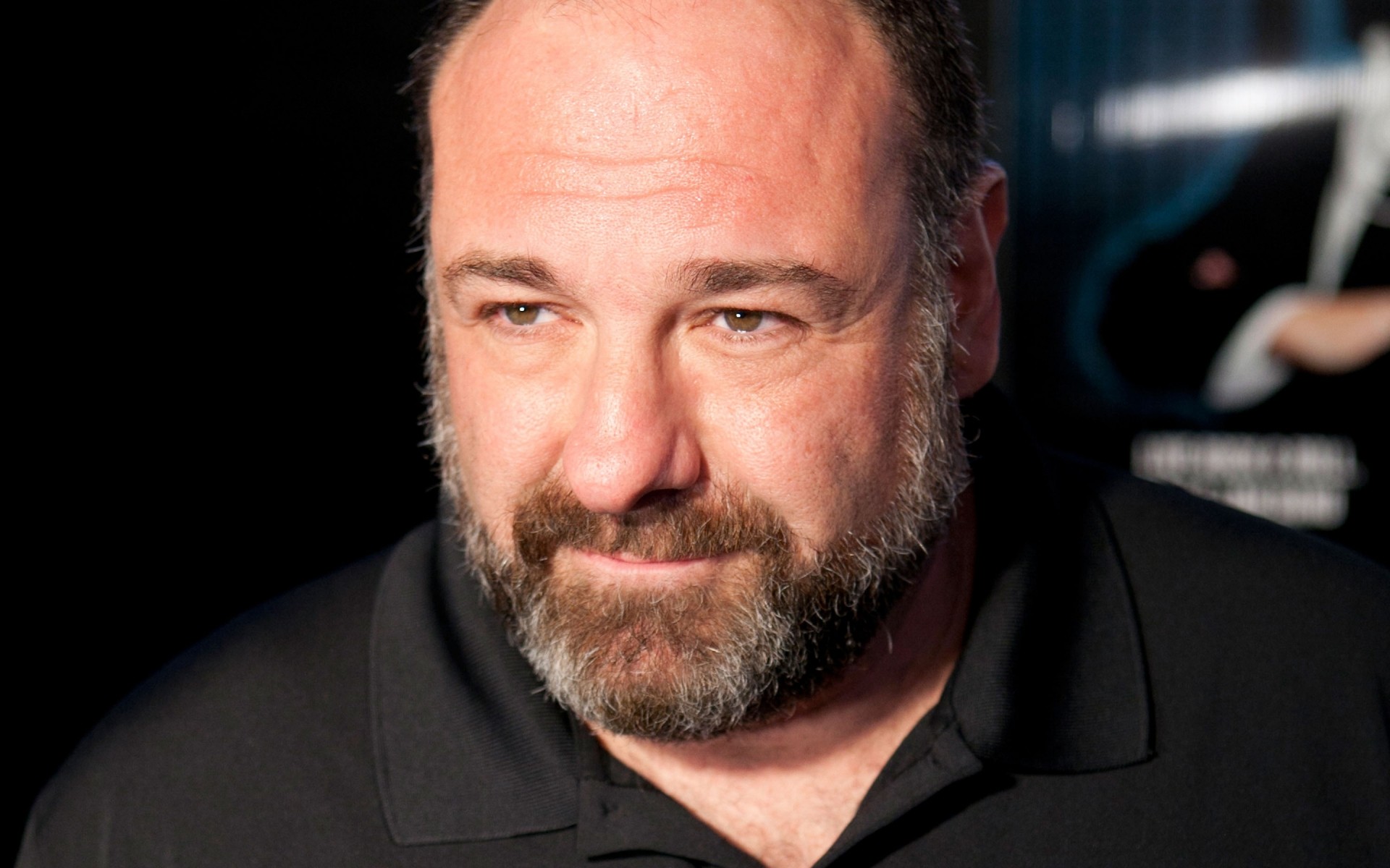 mężczyźni portret człowiek jeden dorosły zarost james gandolfini