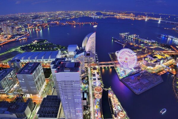 鸟瞰壮丽的日本大都市